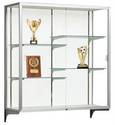 Champion Aluminum Frame Wall Mount Display Cases