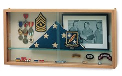 Compact Collector's Wall Display Case