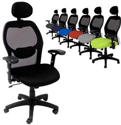 Ergonomic Mesh Back Ultra Office Chair with Headrest