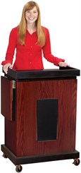 Multi Media Presentation Stand w/Built-In Sound System