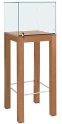 Museum Pedestal Display Case