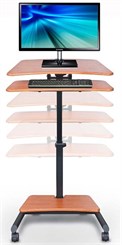 Sit/Stand Pneumatic Lift Height Adjustable Workstation