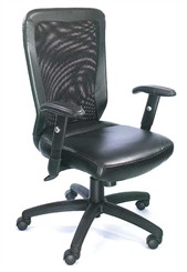 The Web Chair