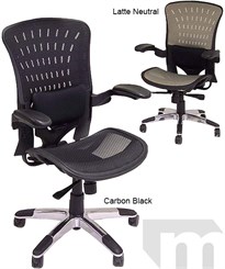 ErgoFlex Ergonomic Mesh Office Chair