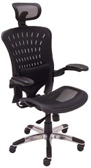 ErgoFlex Ergonomic Mesh Office Chair w/Headrest