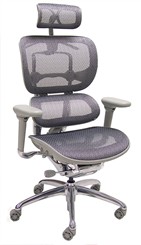 SpringFlex Mesh Ergonomic Office Chair